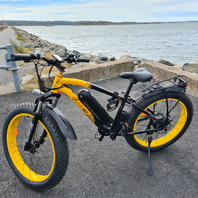 GF700 GOGOBEST EBIKE