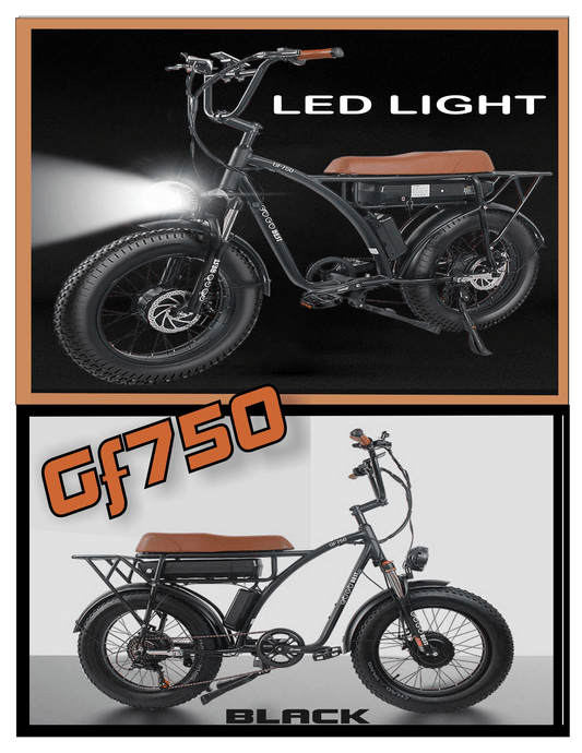 GF750 GOGOBEST EBIKE